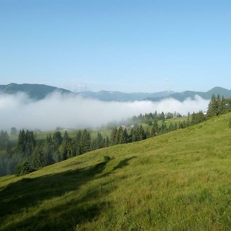 Апартаменты Karpatskiy Maetok Верховина Экстерьер фото