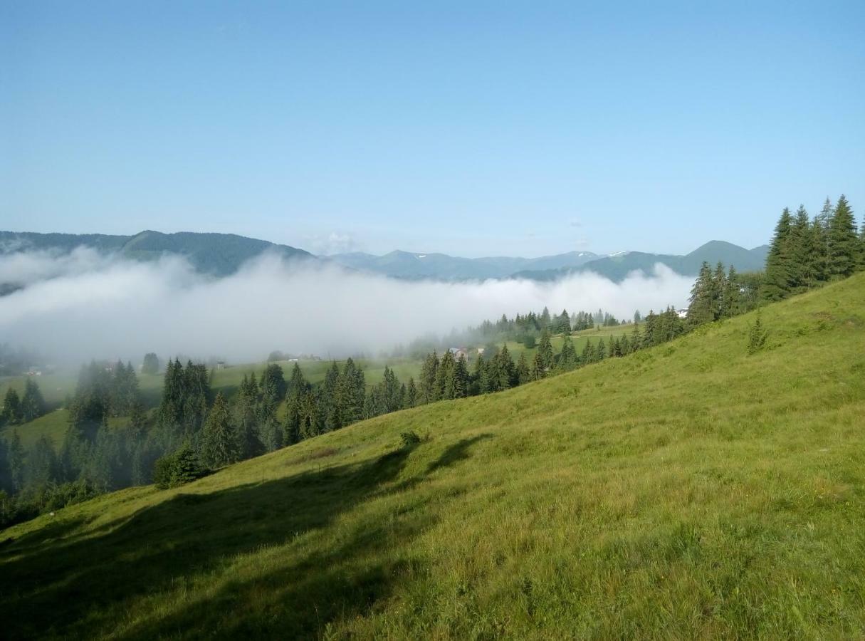 Апартаменты Karpatskiy Maetok Верховина Экстерьер фото